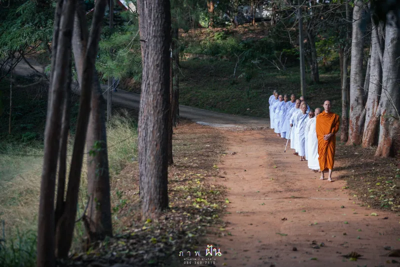 ขบวนผู้ร่วมพิธีเดินผ่านป่าเขียว