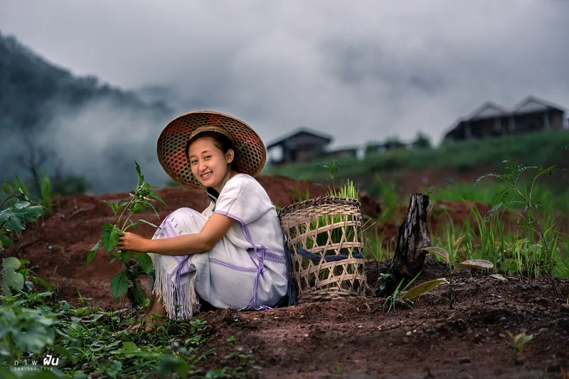 หญิงชาวบ้านกับตะกร้าในหมอก — สารคดีชุมชน
